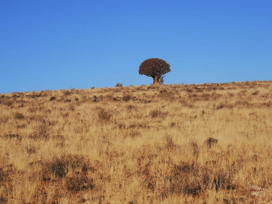 0 Bedroom Property for Sale in Upington Rural Northern Cape